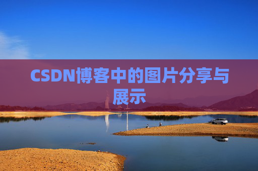 CSDN博客中的图片分享与展示